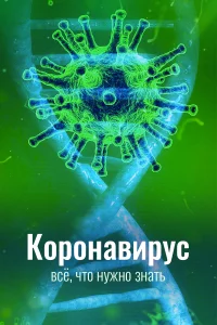  Коронавирус. Все, что нужно знать 